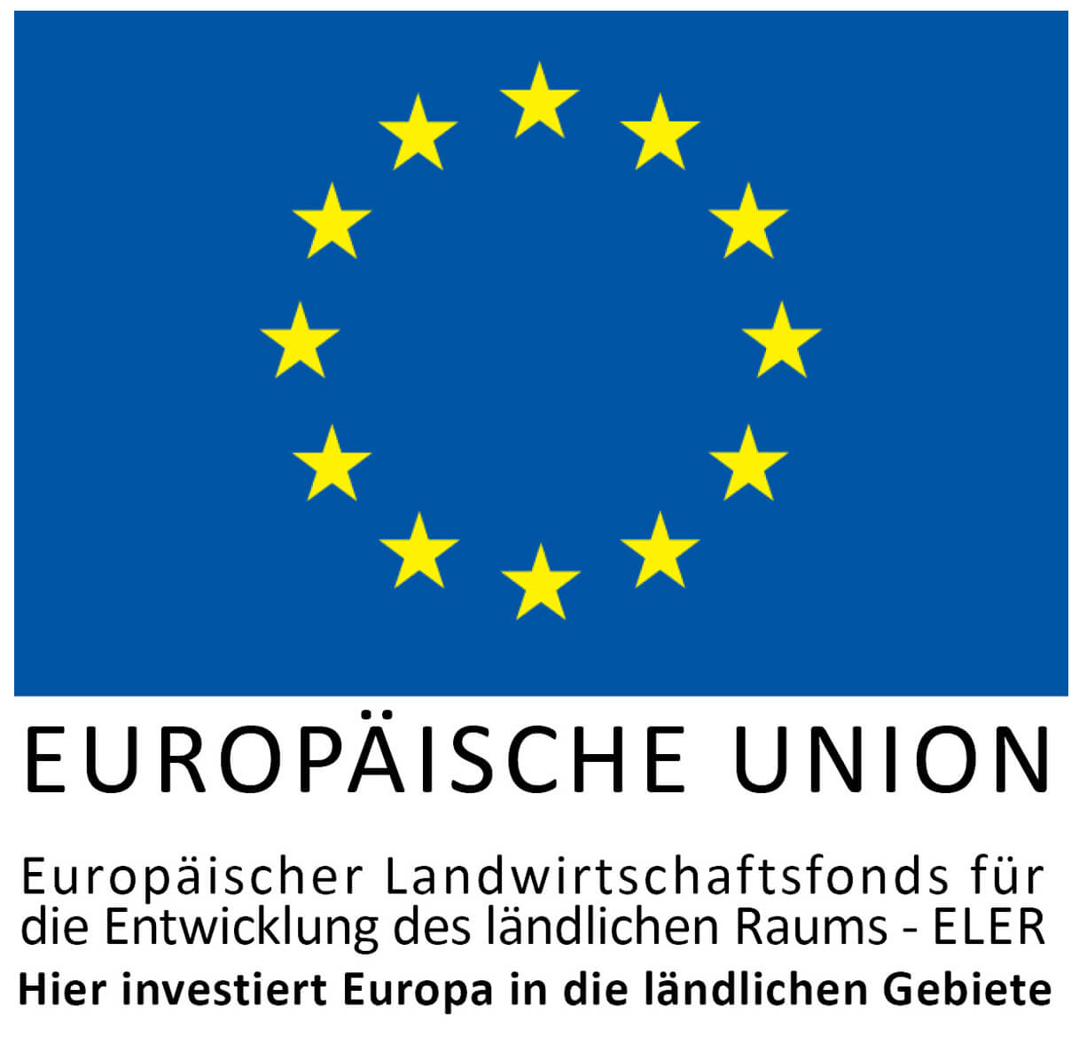 Logo EU-Förderung